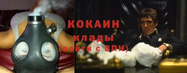 хмурый Алзамай