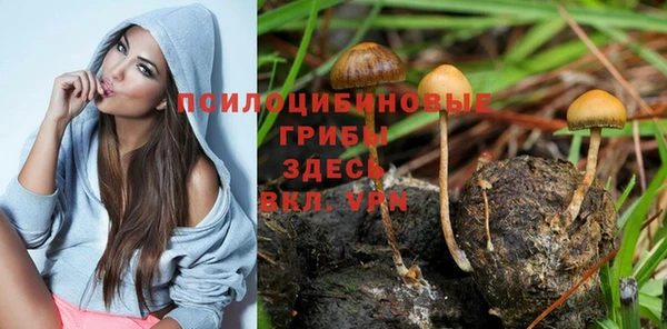 кокаин колумбия Алексеевка