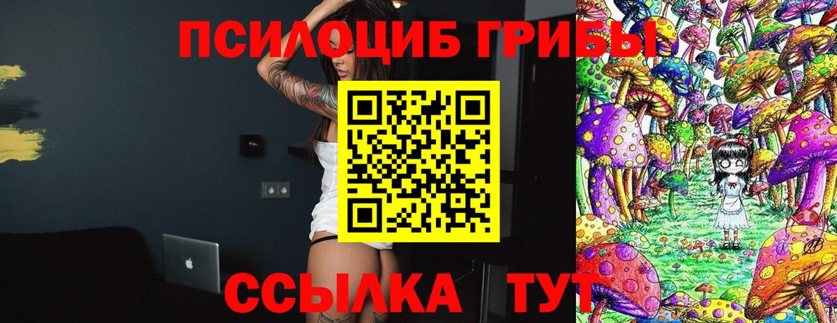 Псилоцибиновые грибы Psilocybe Североуральск